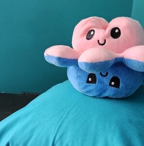 Reversible Pink and Blue Plush Toy